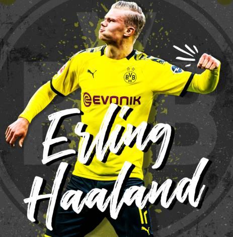 新手必学的五大篮球动作（篮球新手必练的五个基础动作）